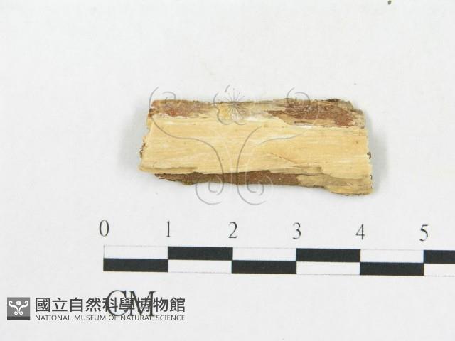 登錄號:F0002885藏品圖，第4張