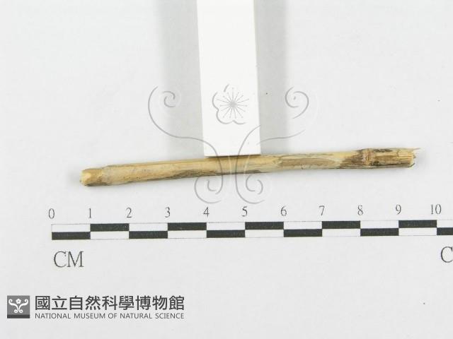 登錄號:F0012785藏品圖，第4張