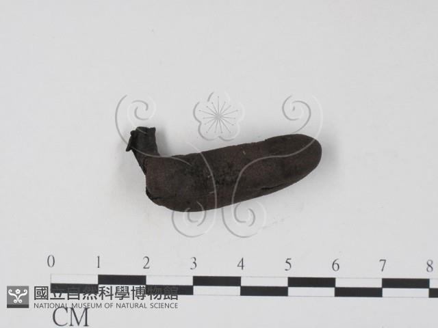 登錄號:F0010185藏品圖，第4張