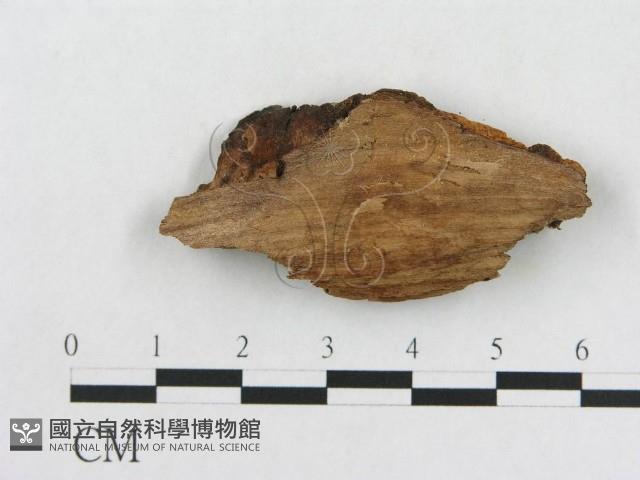 登錄號:F0017385藏品圖，第4張