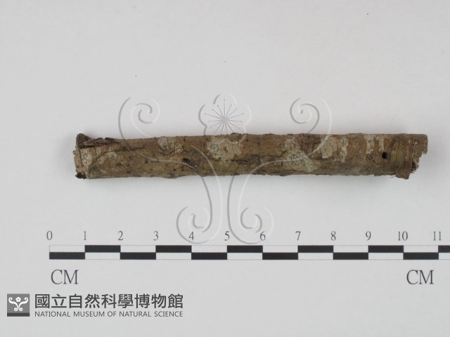 登錄號:F0003099藏品圖，第4張