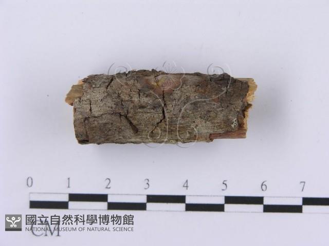 登錄號:F0001399藏品圖，第4張