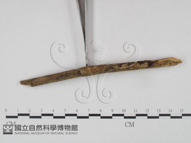 登錄號:F0021689藏品圖，第4張