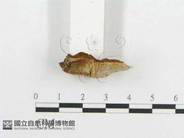 登錄號:F0017689藏品圖，第4張