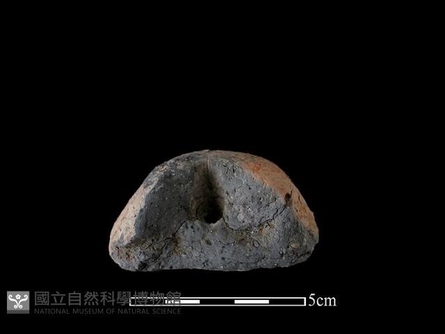 陶紡輪藏品圖，第4張