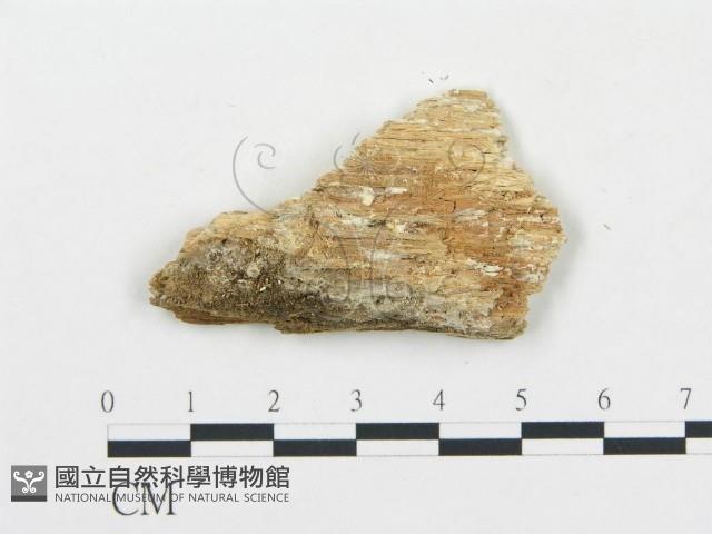 登錄號:F0017389藏品圖，第4張