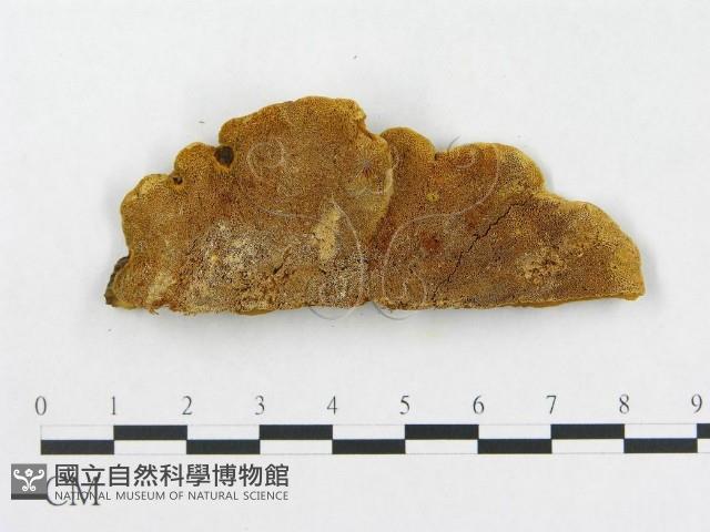 登錄號:F0006293藏品圖，第4張