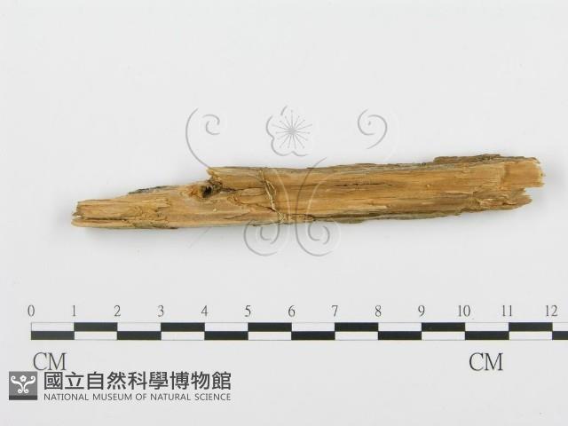 登錄號:F0005993藏品圖，第4張