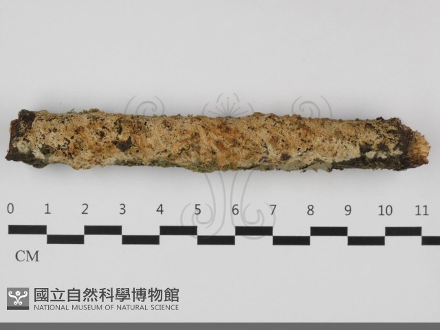 登錄號:F0032193藏品圖，第4張