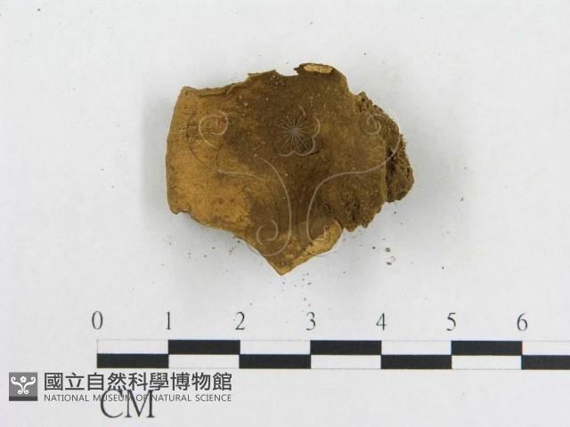 登錄號:F0011393藏品圖，第4張