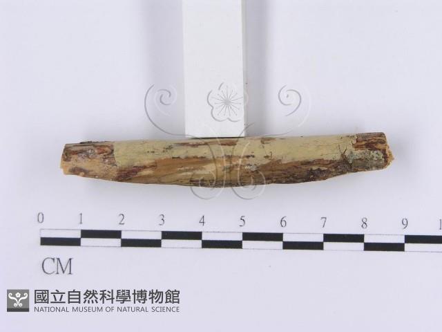 登錄號:F0002983藏品圖，第4張