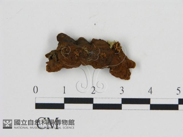 登錄號:F0005983藏品圖，第4張