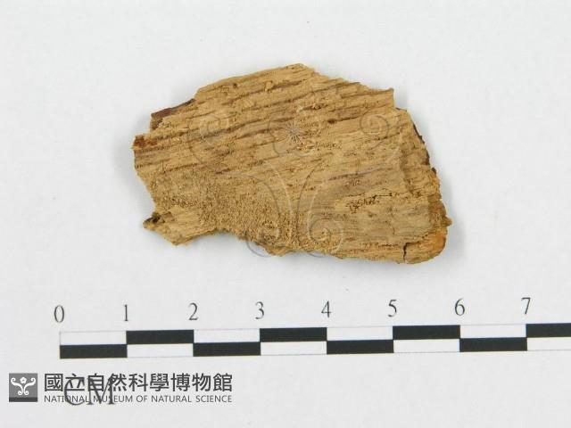 登錄號:F0011383藏品圖，第4張