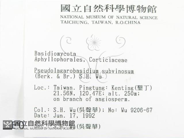 登錄號:F0000215藏品圖，第9張