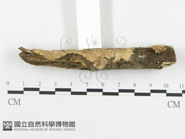 登錄號:F0000215藏品圖，第8張