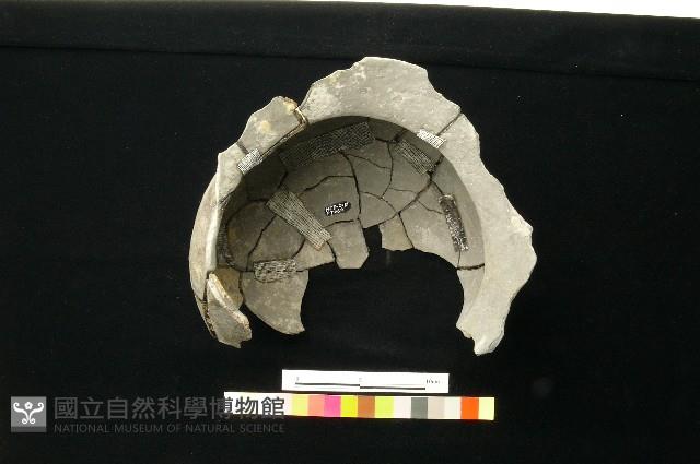 陶罐藏品圖，第3張