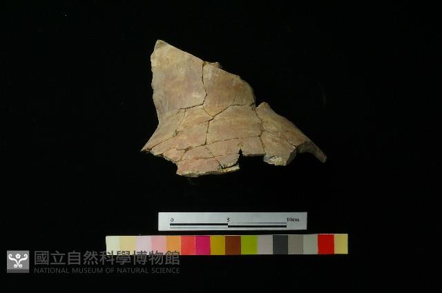 陶罐藏品圖，第4張