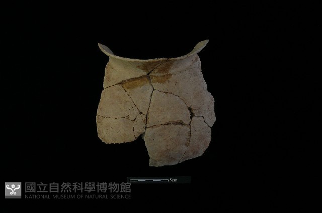 陶罐藏品圖，第3張