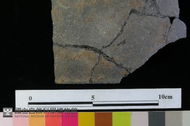 陶缽藏品圖，第1張