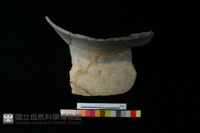 陶缸藏品圖，第4張