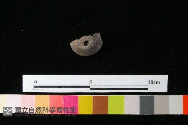 紡輪藏品圖，第3張