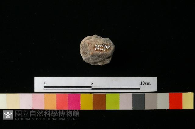 陶蓋藏品圖，第1張