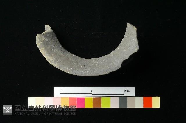 陶罐藏品圖，第3張