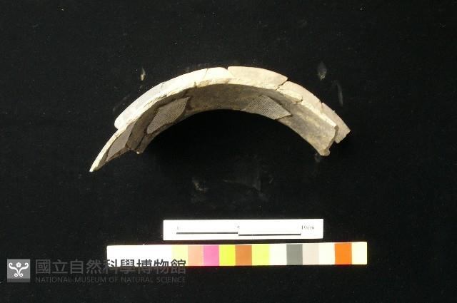 陶罐藏品圖，第3張