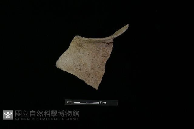 Accession Number:MTP-2012-PT460 Collection Image, Figure 1, Total 3 Figures