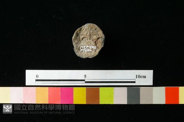 陶蓋藏品圖，第3張