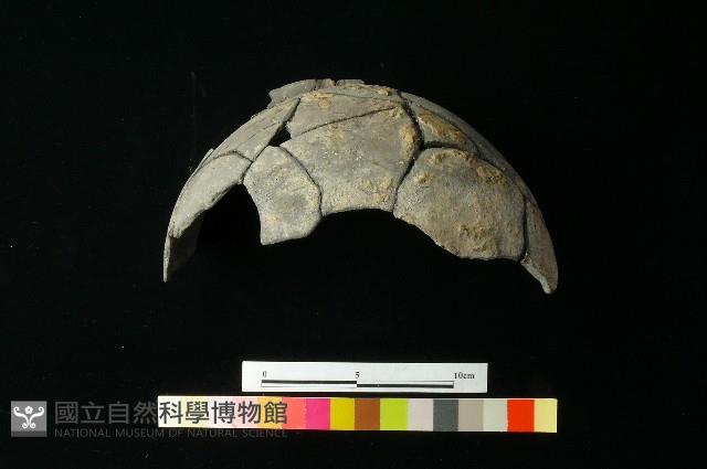 陶罐藏品圖，第1張