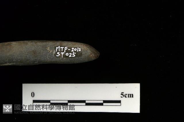 錛鑿形器藏品圖，第3張