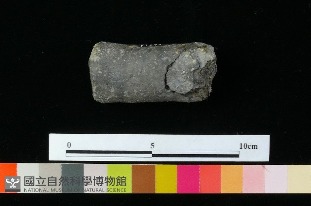獸足藏品圖，第3張
