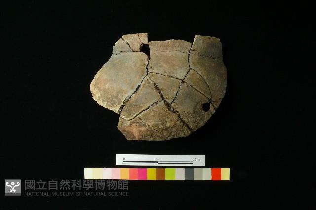 陶罐藏品圖，第1張