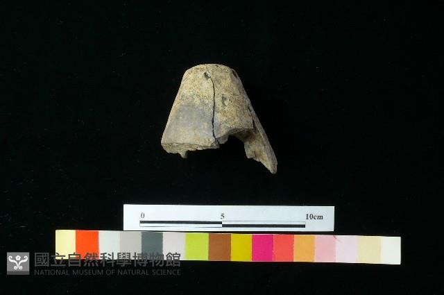 陶器藏品圖，第4張