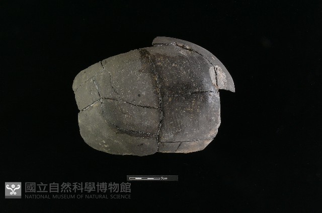 陶缽藏品圖，第3張