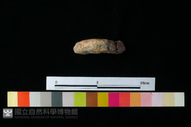 Accession Number:MTP-2012-PT243 Collection Image, Figure 3, Total 3 Figures