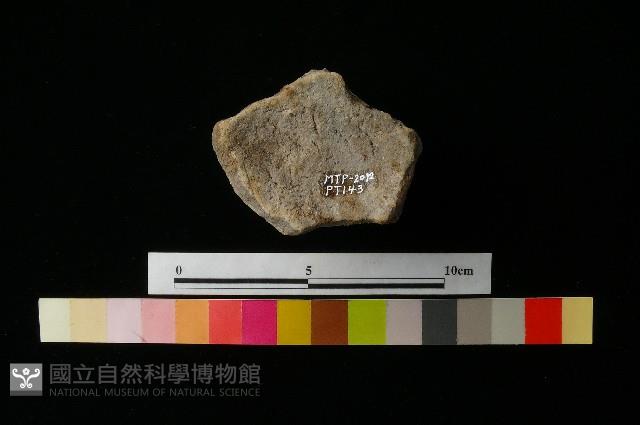 陶蓋藏品圖，第3張