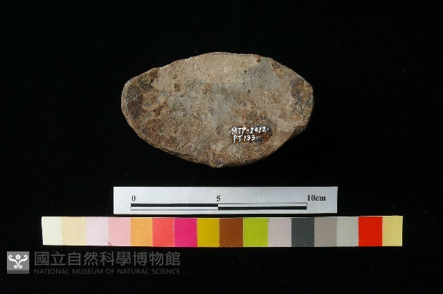 陶蓋藏品圖，第1張