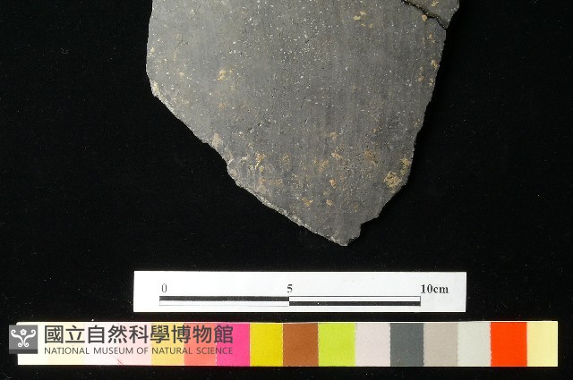 陶缽藏品圖，第3張