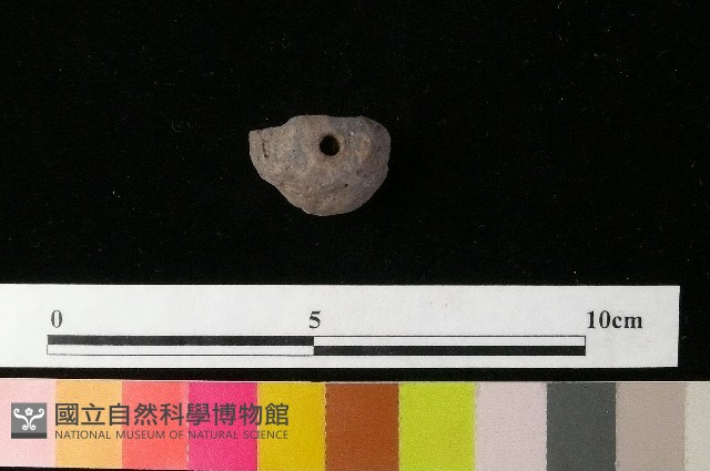 紡輪藏品圖，第3張
