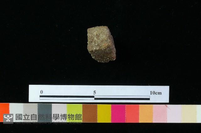 陶器藏品圖，第3張