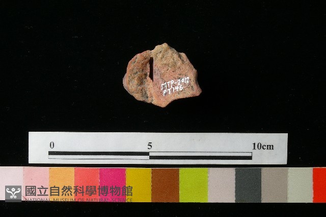 陶蓋藏品圖，第3張