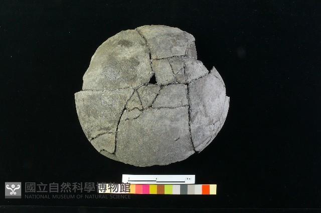 陶缽藏品圖，第3張