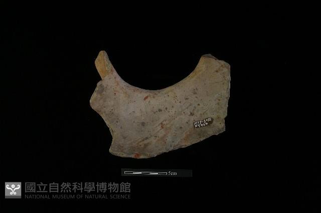 陶罐藏品圖，第3張