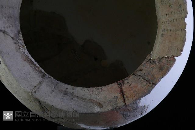 陶罐藏品圖，第4張