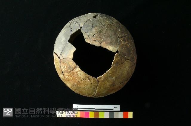 陶罐藏品圖，第1張