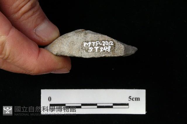 石片器藏品圖，第3張