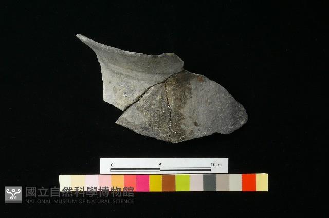 陶罐藏品圖，第3張