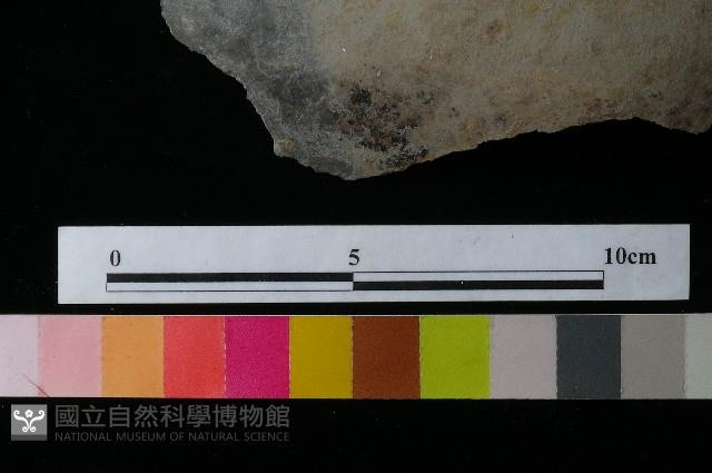 陶罐藏品圖，第3張